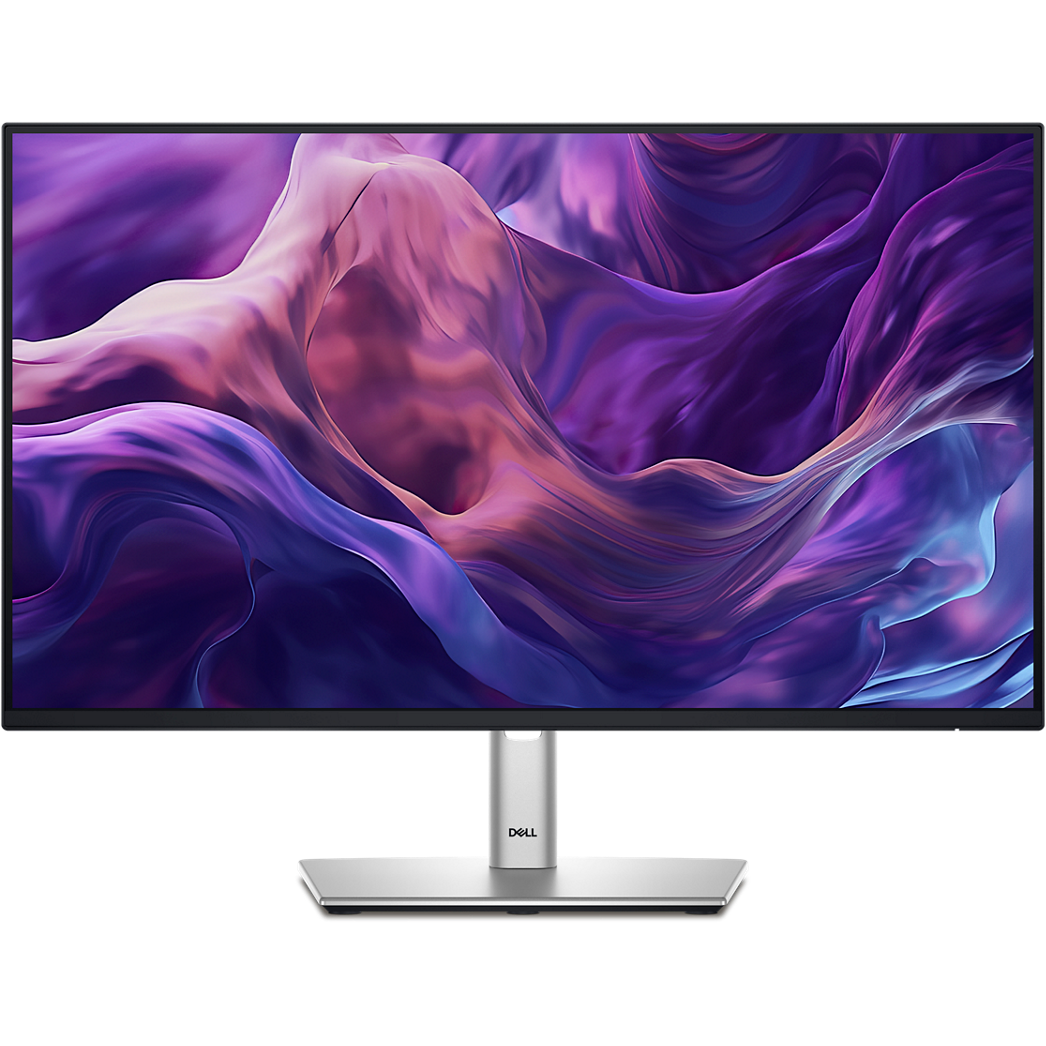 Dell 24 Monitor P2425H 24" MONITOR